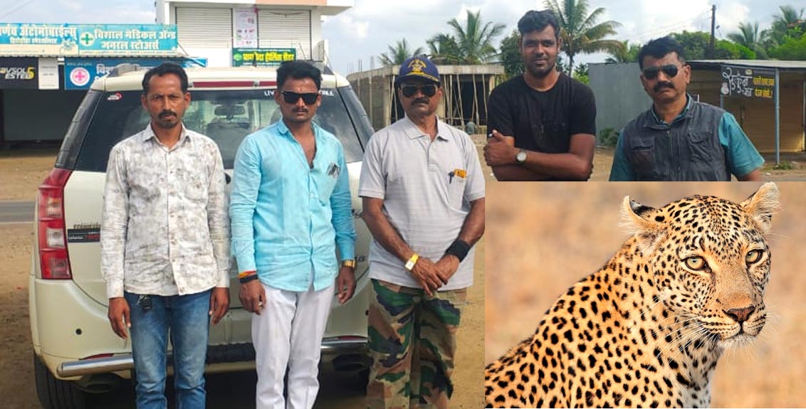 leopard-sharp-shooter