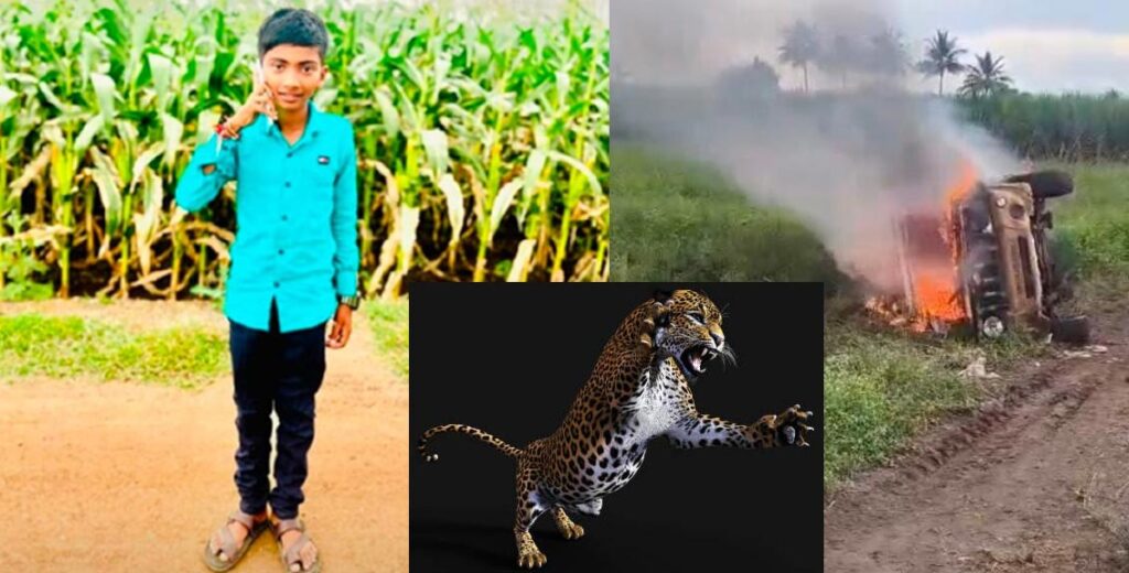 rohan-bombe-pimparkhed