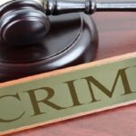 शिरूर तालुक्यात अनधिकृत दत्तक प्रकरण उघड; चार जणांविरुद्ध गुन्हा दाखल