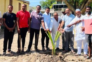 aamdabad-tree