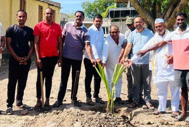 aamdabad-tree