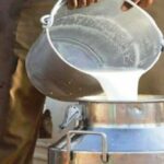 गोकुळकडून दूध उत्पादक शेतकऱ्यांना मोठा दिलासा! म्हैस दूध दरात वाढ