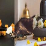 श्रावणात घरी आणा या 3 पवित्र वस्तू; महादेवांची कृपा, सुख-समृद्धी आणि सकारात्मक ऊर्जा मिळेल अशी मान्यता