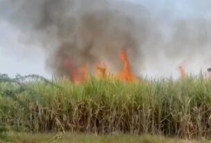 sugarcane-fire