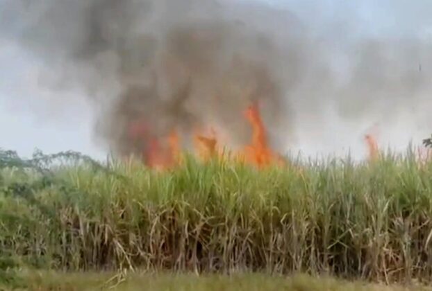 sugarcane-fire