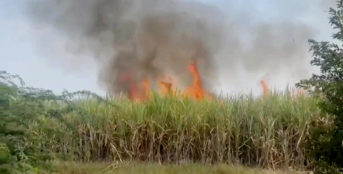 sugarcane-fire